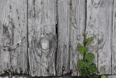 An old, faded and worn wooden fence. の写真素材