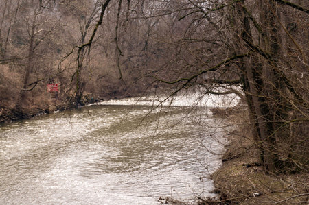 A riveside lined by trees with bare branches and highlights on the surface.