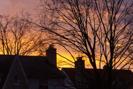Sunrise of the a suburban neighborhood with rooftops and trees. の写真素材