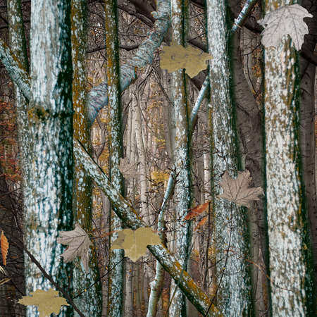 Woodland Hunting Camouflage Autumnの写真素材