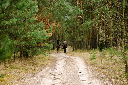 Riders on horses in the woods