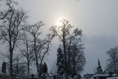 the sun behind the fog over the cemeteryの写真素材