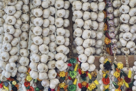 wreaths of white garlic for sale at a marketの写真素材