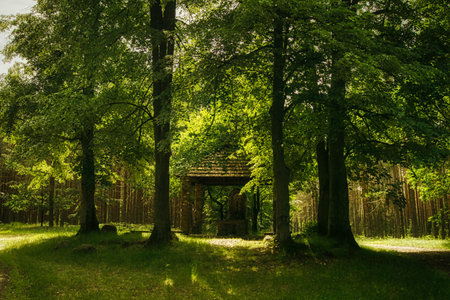 Christian chapel with a Marian statue in the middle of the forest, a thick pine forest visible, a...