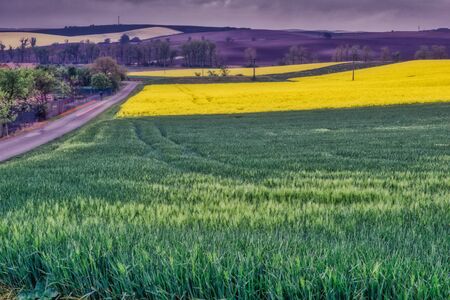 orchards at the edge of the villageの写真素材