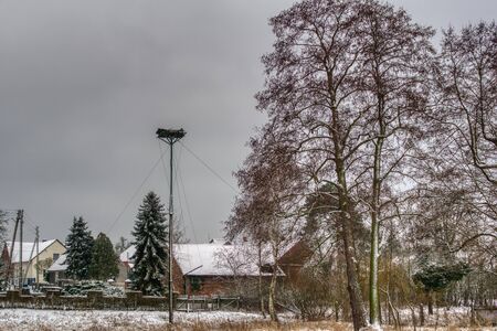 Silesian village on a cloudy winter day, farm buildings, trees around the house and a high pole prepared for a nest for storksの写真素材