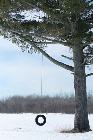 Lone tire swing hanging on pine tree in middle of field in winterの写真素材