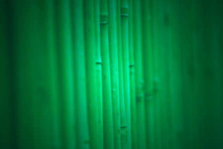 Abstract bamboo background, softenedの写真素材