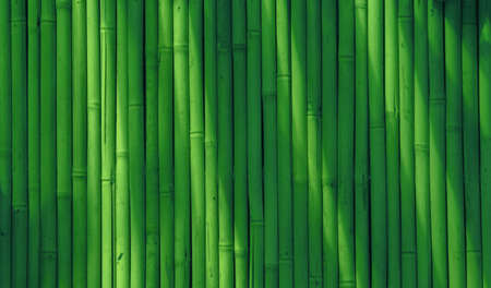 Abstract bamboo background, softenedの写真素材