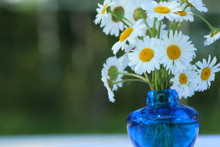 Bouquet of white daisiesの写真素材