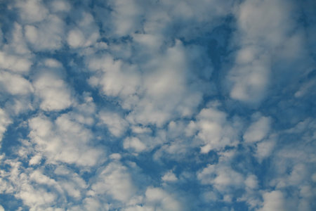 Altocumulus mackeral sky sidelit by setting sun