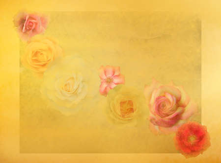 Old fashioned roses on grunge colorful backgroundの写真素材
