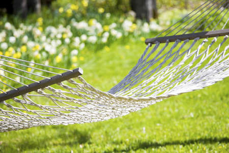 Hammock out on sunny yard near flower gardenの写真素材