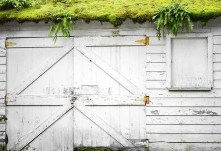 Side of an abandoned building with green moss and algae growing on roofの写真素材