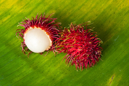 rambutan on banana leafの写真素材