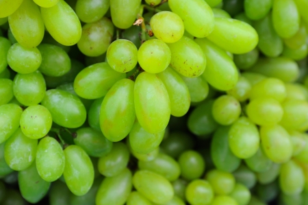 grapesの写真素材