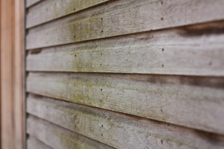 wooden house with lichenの写真素材