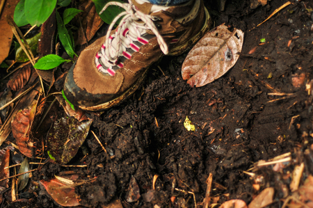 Stepping into the mudの写真素材