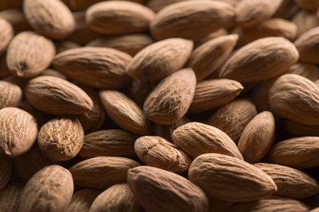 Many brown almonds in the pile.の写真素材