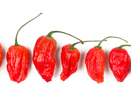 Hot, very very hot Naga morich chili.