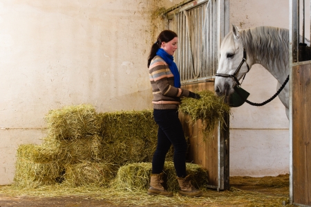 Woman give a hay for a horseの写真素材