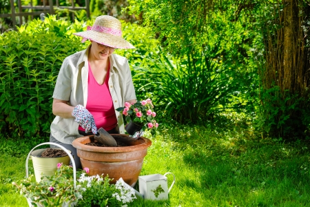 A mature woman planting flowers, sunny dayの写真素材
