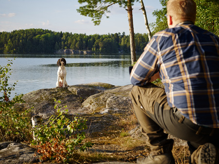 The hunter trains his English Springer Spaniel puppy on the shoreの写真素材