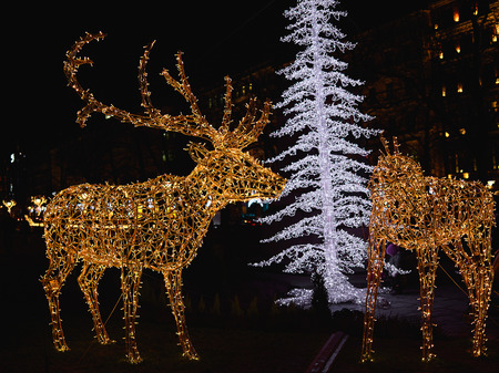 HELSINKI, FINLAND - DECEMBER 22, 2015: Christmas lights in Esplanade Park in the evening.のeditorial素材