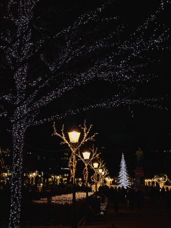 HELSINKI, FINLAND - DECEMBER 22, 2015: Christmas lights in Esplanade Park in the evening.のeditorial素材