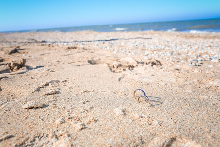Wedding rings on the background of the bouquetの写真素材