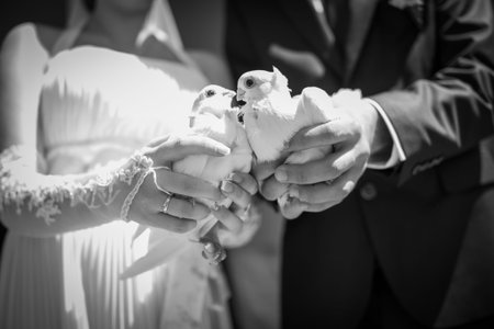 Young bride and groom walk in nature on the wedding dayの写真素材