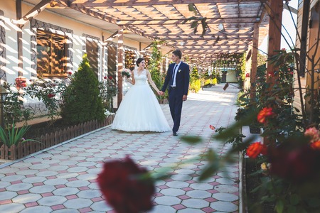 Young bride and groom walk in nature on the wedding dayの写真素材