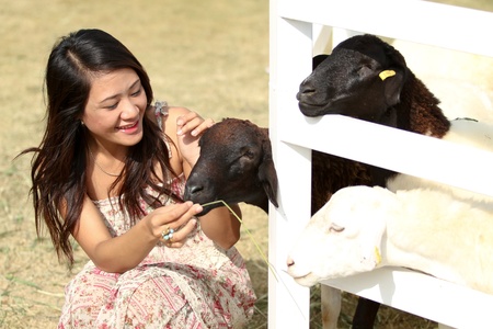 Young pretty cheerful woman with lamb on a countrysideの写真素材