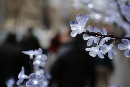 christmas decoration from plastic light flowerの写真素材