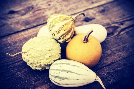 beautiful pumpkins on the wooden floorの写真素材