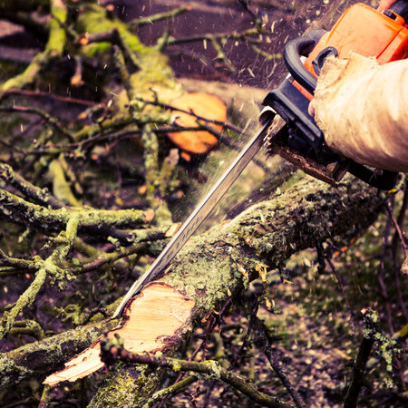 Man sawing a log in his back yard with orange saw