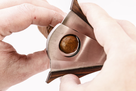 Expensive cigar and cutter in man´s hand on a white backgroundの写真素材
