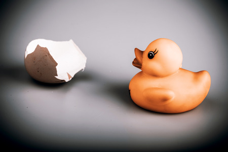 Beautiful yellow small plastic duck with egg isolated on a white backgroundの写真素材