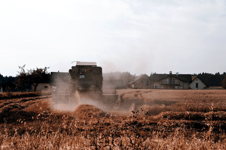 Grain harvest - barley, wheat, strawの写真素材