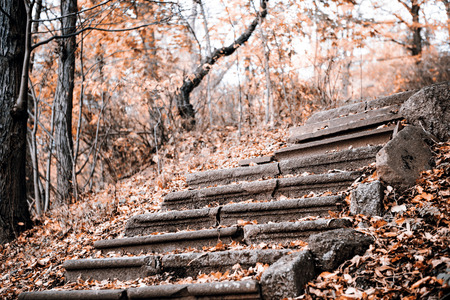 Old Stone Stairway in the Fall in Czech Republicの写真素材