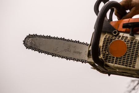 Man sawing a log in his back yard with orange sawの写真素材