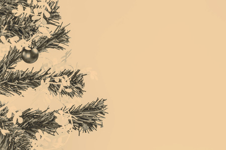 Christmas decoration - green branchの写真素材