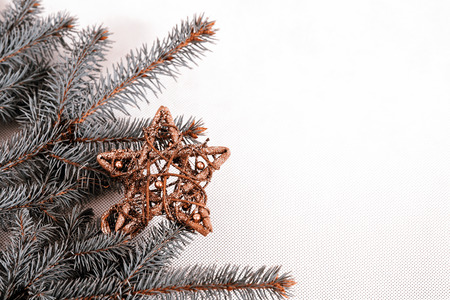 Christmas deocarion - branch with starの写真素材