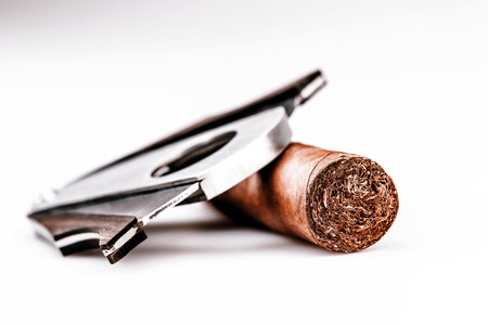 Expensive cigar and cutter on a white backgroundの写真素材