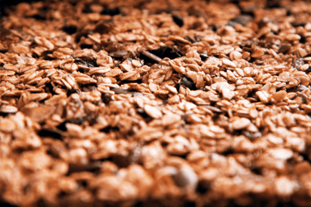 Closeup of a tasty homemade pile of muesliの写真素材