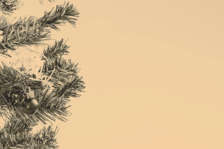 Christmas decoration - green branchの写真素材