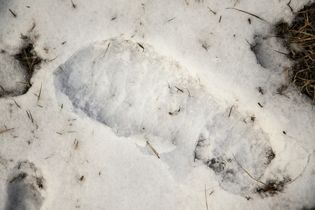 footprint in the white snowの写真素材