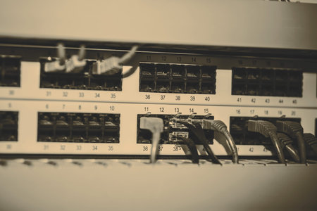 Server panel with blue cables and connectors