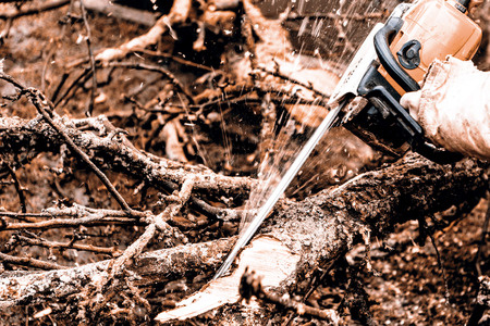 Man sawing a log in his back yard with orange sawの写真素材