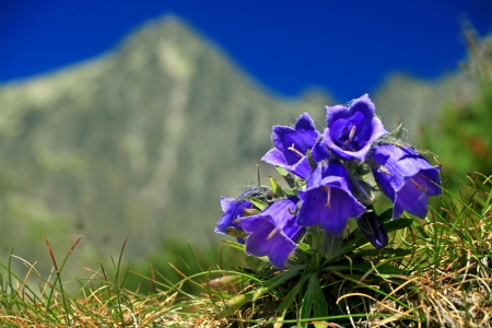  High Tatras mountains, Slovakia の写真素材